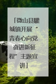 微山县驩城镇开展“青春心向党 奋进新征程”主题宣讲
