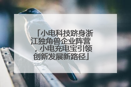 小电科技跻身浙江独角兽企业阵营，小电充电宝引领创新发展新路径