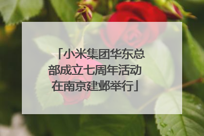 小米集团华东总部成立七周年活动在南京建邺举行