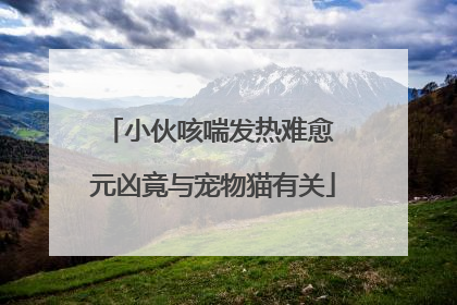 小伙咳喘发热难愈 元凶竟与宠物猫有关