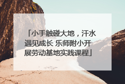 小手触碰大地，汗水遇见成长 乐师附小开展劳动基地实践课程