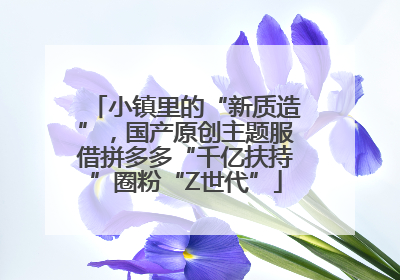 小镇里的“新质造”，国产原创主题服借拼多多“千亿扶持”圈粉“Z世代”