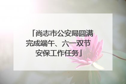 尚志市公安局圆满完成端午、六一双节安保工作任务