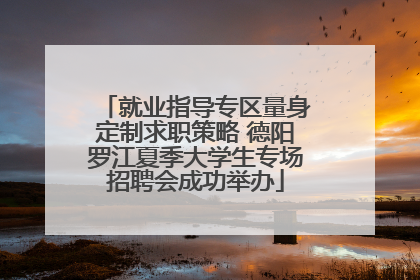 就业指导专区量身定制求职策略 德阳罗江夏季大学生专场招聘会成功举办