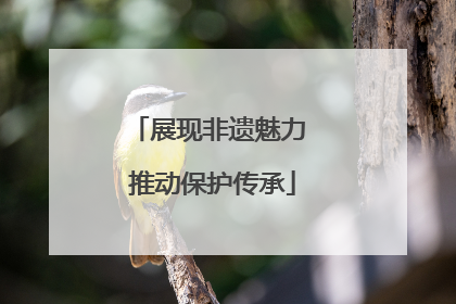展现非遗魅力 推动保护传承