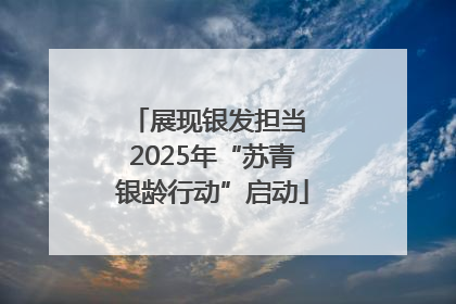 展现银发担当 2025年“苏青银龄行动”启动