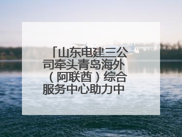 山东电建三公司牵头青岛海外（阿联酋）综合服务中心助力中阿经贸合作