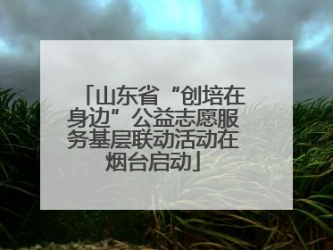 山东省“创培在身边”公益志愿服务基层联动活动在烟台启动