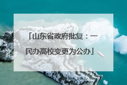 山东省政府批复：一民办高校变更为公办