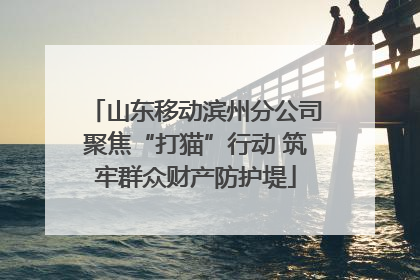 山东移动滨州分公司聚焦“打猫”行动 筑牢群众财产防护堤