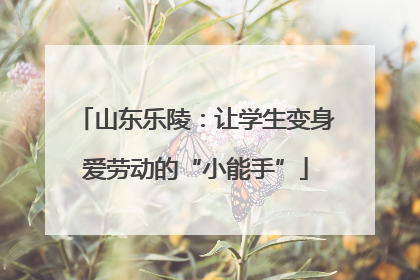 山东乐陵：让学生变身爱劳动的“小能手”