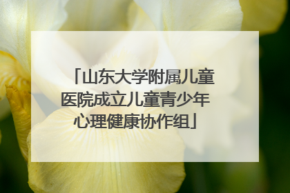 山东大学附属儿童医院成立儿童青少年心理健康协作组