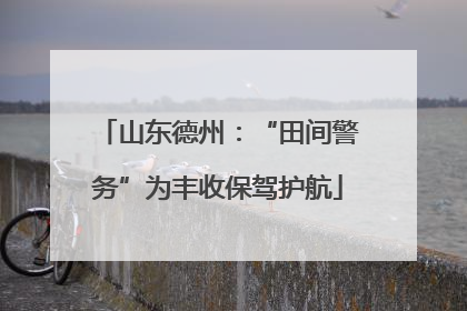 山东德州：“田间警务”为丰收保驾护航