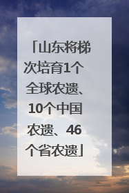 山东将梯次培育1个全球农遗、10个中国农遗、46个省农遗