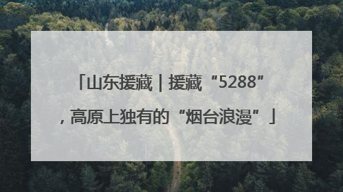 山东援藏｜援藏“5288”，高原上独有的“烟台浪漫”