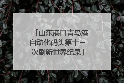 山东港口青岛港自动化码头第十三次刷新世界纪录