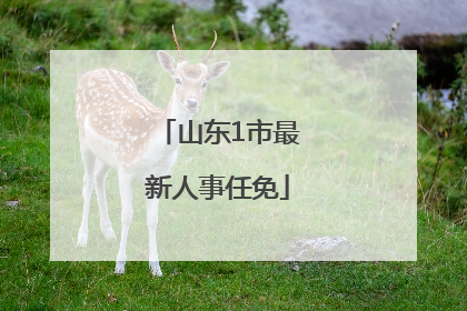 山东1市最新人事任免
