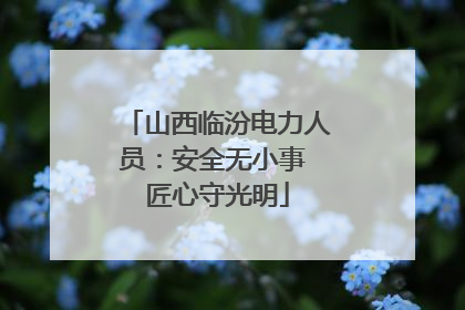 山西临汾电力人员：安全无小事 匠心守光明
