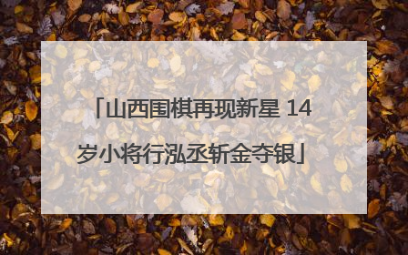 山西围棋再现新星 14岁小将行泓丞斩金夺银