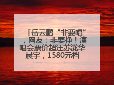 岳云鹏“非要唱”，网友：非要挣！演唱会票价超汪苏泷华晨宇，1580元档20秒抢空