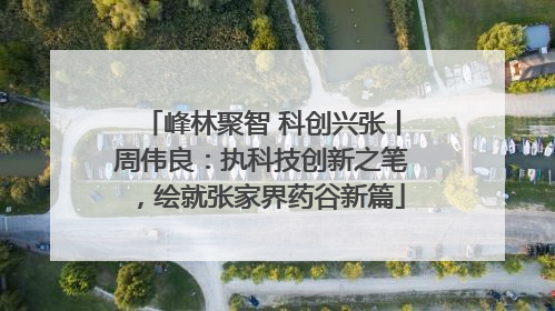 峰林聚智 科创兴张丨周伟良：执科技创新之笔，绘就张家界药谷新篇