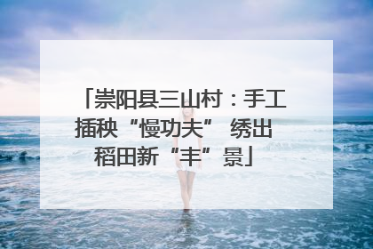 崇阳县三山村：手工插秧“慢功夫” 绣出稻田新“丰”景