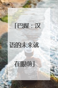 巴媒：汉语的未来就在眼前