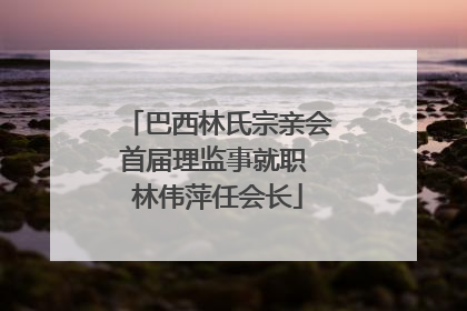 巴西林氏宗亲会首届理监事就职 林伟萍任会长