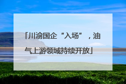 川渝国企“入场”，油气上游领域持续开放