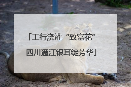 工行浇灌“致富花” 四川通江银耳绽芳华