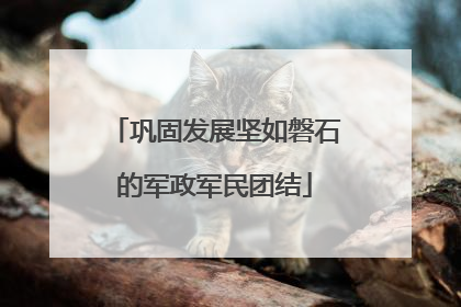 巩固发展坚如磐石的军政军民团结
