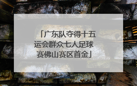 广东队夺得十五运会群众七人足球赛佛山赛区首金