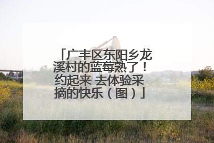 广丰区东阳乡龙溪村的蓝莓熟了！约起来 去体验采摘的快乐（图）
