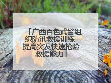 广西百色武警组织防汛救援训练 提高突发快速抢险救援能力