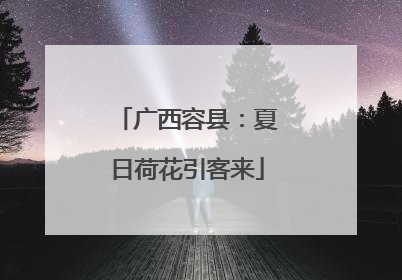 广西容县：夏日荷花引客来