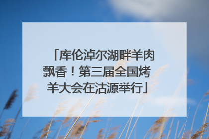 库伦淖尔湖畔羊肉飘香！第三届全国烤羊大会在沽源举行