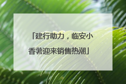 建行助力，临安小香薯迎来销售热潮
