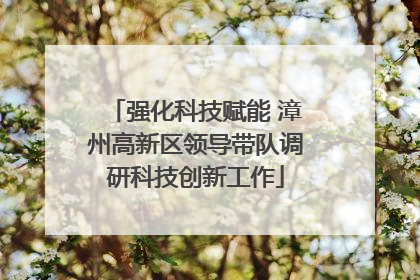 强化科技赋能 漳州高新区领导带队调研科技创新工作