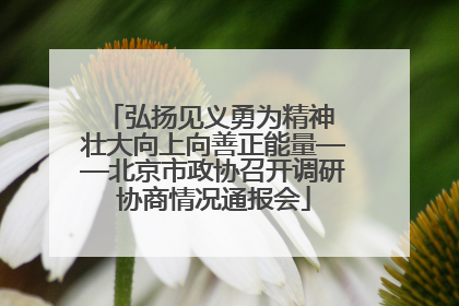 弘扬见义勇为精神 壮大向上向善正能量——北京市政协召开调研协商情况通报会