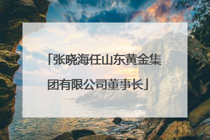 张晓海任山东黄金集团有限公司董事长