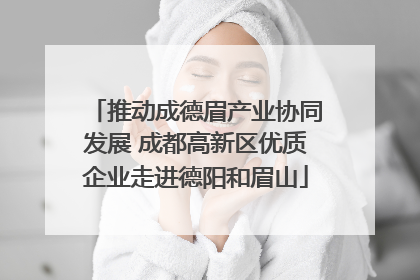 推动成德眉产业协同发展 成都高新区优质企业走进德阳和眉山