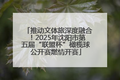 推动文体旅深度融合！2025年沈阳市第五届“联盟杯”橄榄球公开赛燃情开赛