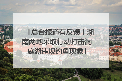 总台报道有反馈丨湖南两地采取行动打击洞庭湖违规钓鱼现象