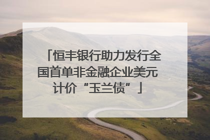 恒丰银行助力发行全国首单非金融企业美元计价“玉兰债”