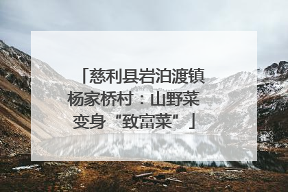 慈利县岩泊渡镇杨家桥村：山野菜变身“致富菜”