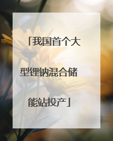 我国首个大型锂钠混合储能站投产