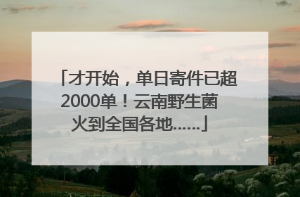 才开始，单日寄件已超2000单！云南野生菌火到全国各地……
