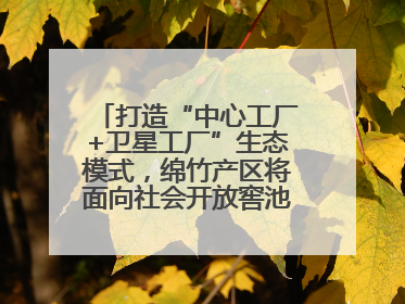打造“中心工厂+卫星工厂”生态模式，绵竹产区将面向社会开放窖池股权认购