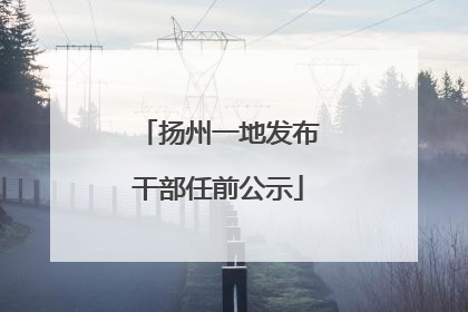 扬州一地发布干部任前公示