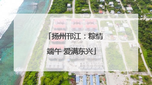 扬州邗江：粽情端午 爱满东兴